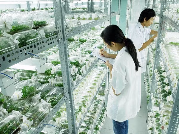 以色列驻越南大使阿斯卡尔:越南政府在新冠肺炎疫情防控努力中取得巨大成功 ảnh 1 以色列驻越南大使阿斯卡尔:越南政府在新冠肺炎疫情防控努力中取得巨大成功 ảnh 1