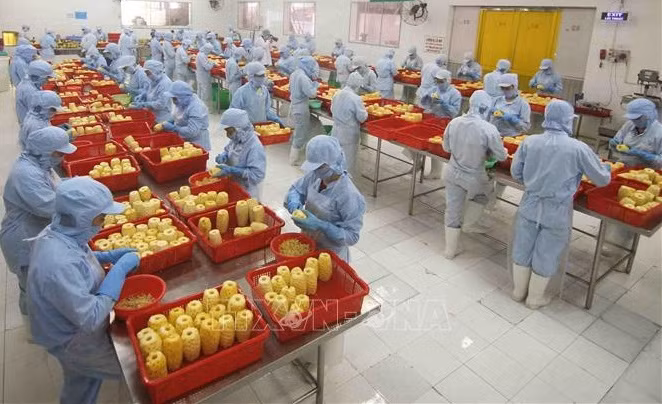 越南商品以灵活的方式征服亚欧市场 ảnh 1