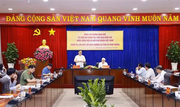 国会主席王廷惠出席在平阳省举行的2022年“春节团圆—平安之春”活动 ảnh 2 国会主席王廷惠出席在平阳省举行的2022年“春节团圆—平安之春”活动 ảnh 2
