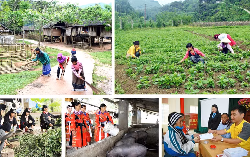 《少数民族地区和山区经济社会发展国家目标计划》为北部19个省份拨出5.7万亿越盾 ảnh 2 《少数民族地区和山区经济社会发展国家目标计划》为北部19个省份拨出5.7万亿越盾 ảnh 2