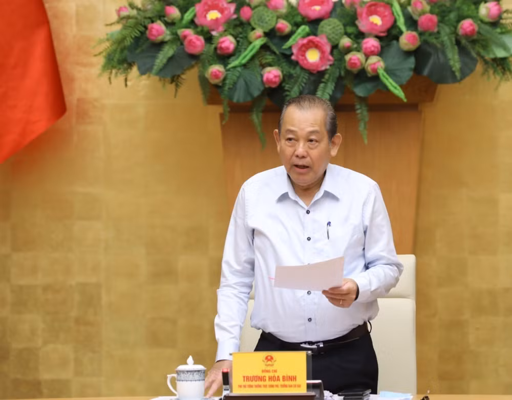 越南常务副总理张和平:加快推进国有企业股份制改造和国有资本退出进程 ảnh 1 越南常务副总理张和平:加快推进国有企业股份制改造和国有资本退出进程 ảnh 1