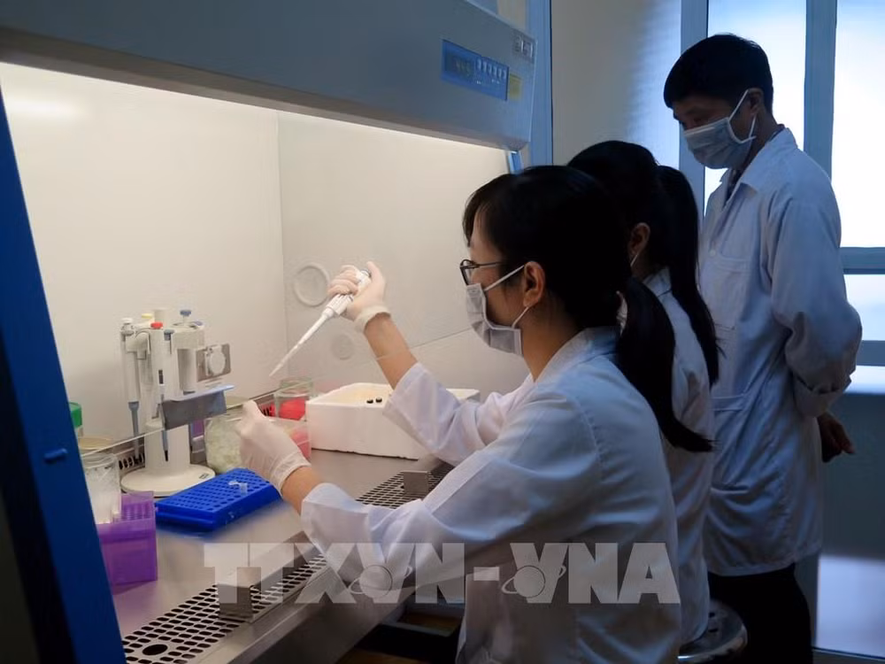 太原省公布新冠病毒检测生物制品的研究结果 ảnh 1 太原省公布新冠病毒检测生物制品的研究结果 ảnh 1