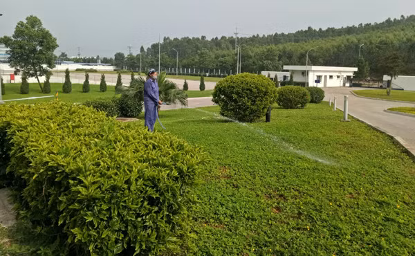 永福省各工业区打造绿色生态家园 ảnh 1 永福省各工业区打造绿色生态家园 ảnh 1