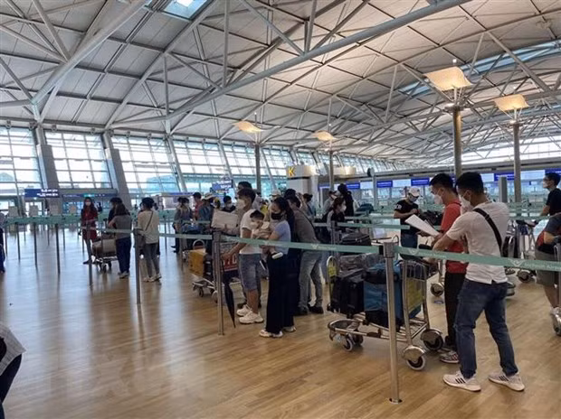 滞留在中东和非洲的140名越南公民安全回国 ảnh 1 滞留在中东和非洲的140名越南公民安全回国 ảnh 1