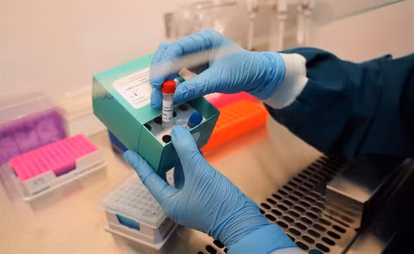 越南成功研发两款新冠病毒核酸检测试剂盒 ảnh 1