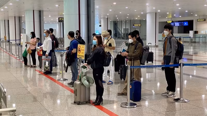 提升领事服务质量 助推国家经济复苏发展 ảnh 2
