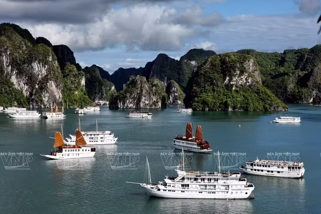乘坐游艇体验一场别开生面的下龙湾之旅 ảnh 1