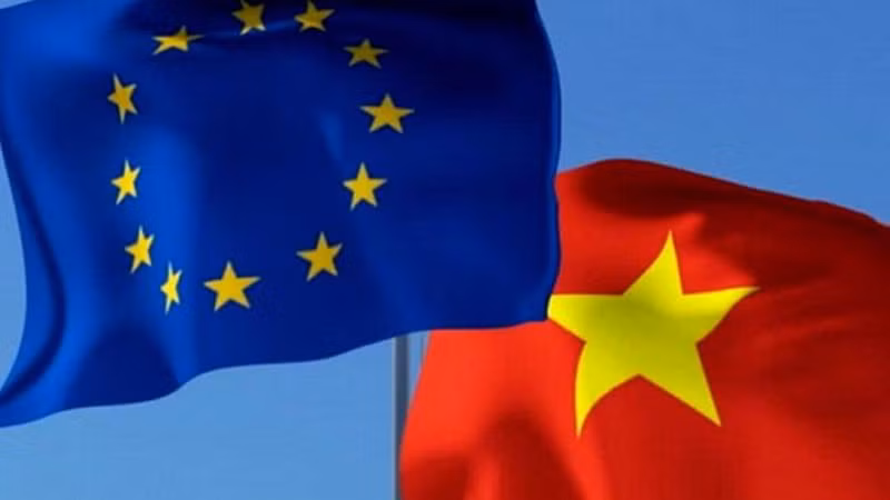 欧盟:越南是重要伙伴 ảnh 1 欧盟:越南是重要伙伴 ảnh 1