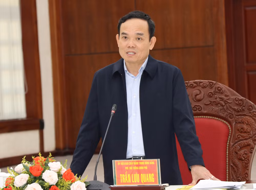 陈流光副总理：西原地区各省须加快三项国家目标计划实施进度 ảnh 1