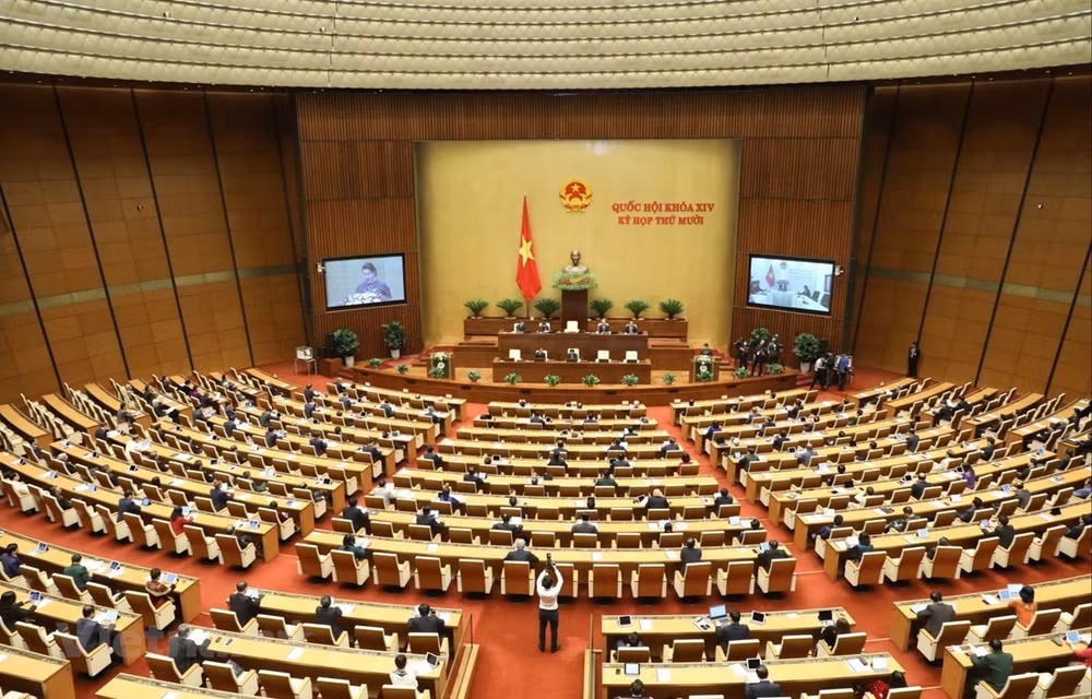 越南出国务工人员权益保障：切实保障越南出国务工人员的合法权益 ảnh 1
