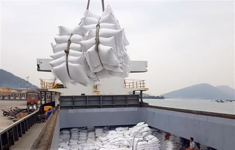 越南大米企业灵活应对新冠肺炎疫情 ảnh 1