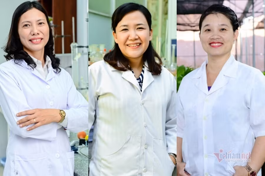 越南三名女科学家跻身亚洲100名杰出科学家名单 ảnh 1
