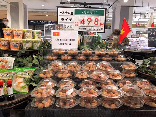 日本永旺总裁高度评价越南荔枝的质量 ảnh 1