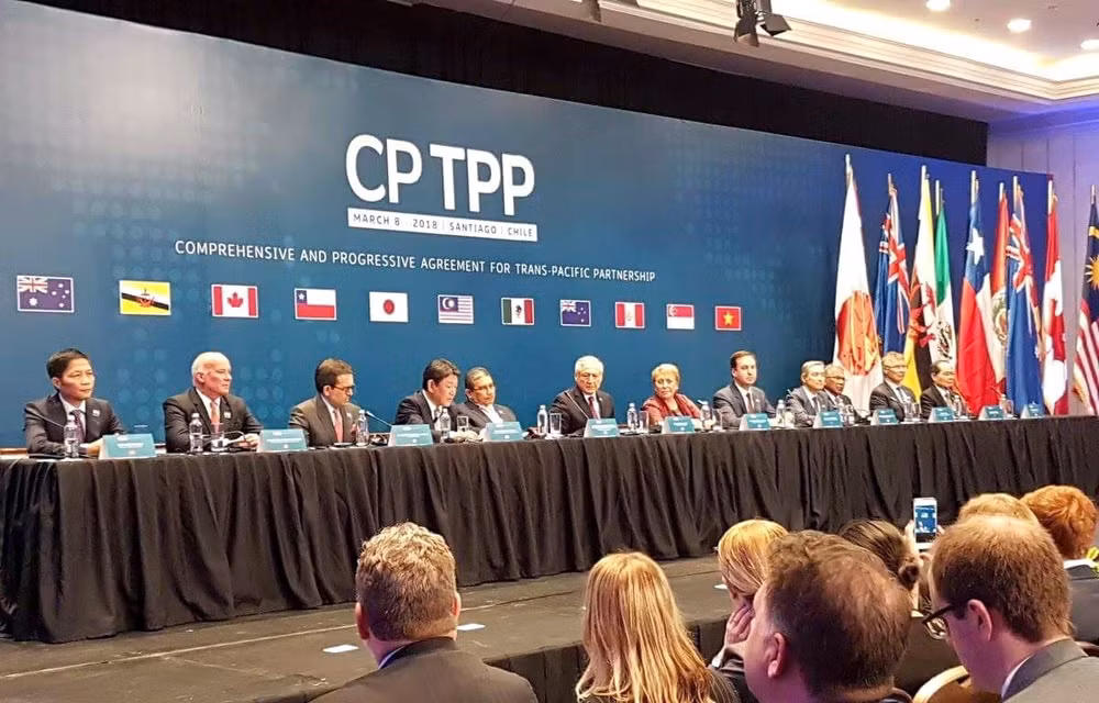 CPTPP成员国拟举行部长级视频会议 ảnh 1