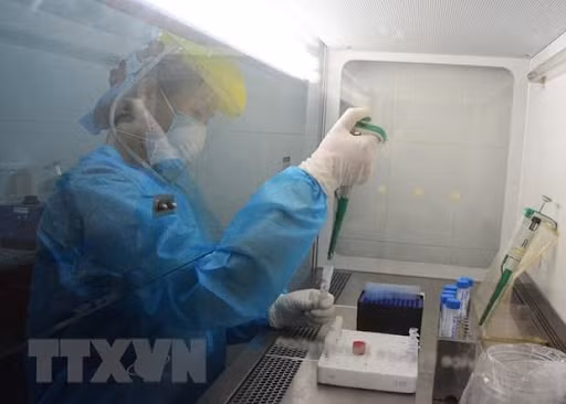 新冠肺炎疫情:越南新增一例境外输入性病例 ảnh 1 新冠肺炎疫情:越南新增一例境外输入性病例 ảnh 1