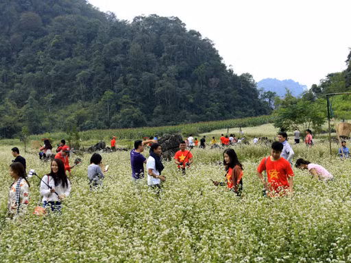 河内等全国多地集中刺激旅游 ảnh 2