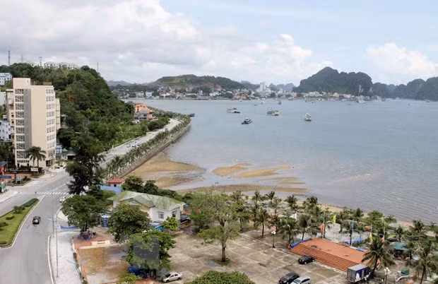 越南广宁省旅游业进入可持续发展时期 ảnh 2 越南广宁省旅游业进入可持续发展时期 ảnh 2
