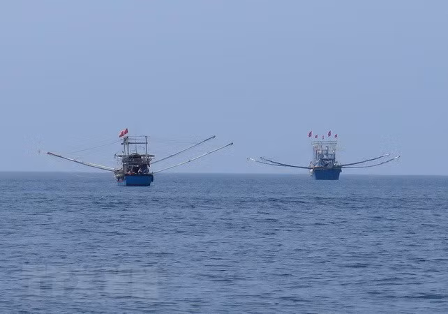 巴地头顿省大力宣传国际渔业法律法规 全面提高渔民守法意识 ảnh 1 巴地头顿省大力宣传国际渔业法律法规 全面提高渔民守法意识 ảnh 1