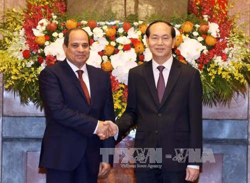 美国和埃及总统就越南国家主席陈大光逝世致唁电 ảnh 2