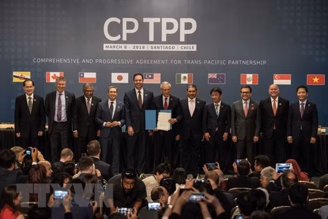 日本与智利一致同意加强合作尽早实施CPTPP ảnh 1