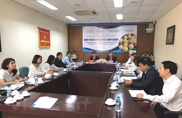 逾70多家进口商参加越南龙眼交易会 ảnh 1 逾70多家进口商参加越南龙眼交易会 ảnh 1