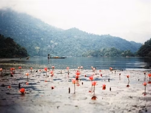 越南各地美丽的湖泊(组图) ảnh 1 越南各地美丽的湖泊(组图) ảnh 1