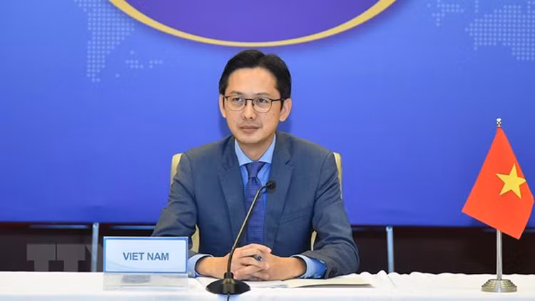 多边外交助力越南到2045年发展成为现代化工业化国家 ảnh 3