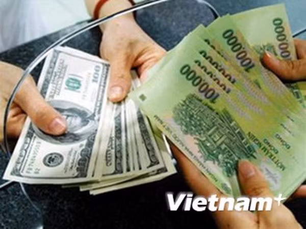 越盾兑美元中心汇率上涨9越盾 ảnh 1 越盾兑美元中心汇率上涨9越盾 ảnh 1