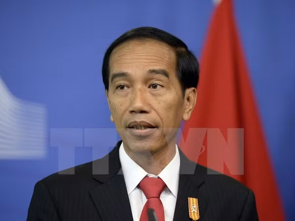 印度尼西亚大力吸引外资 ảnh 1 印度尼西亚大力吸引外资 ảnh 1