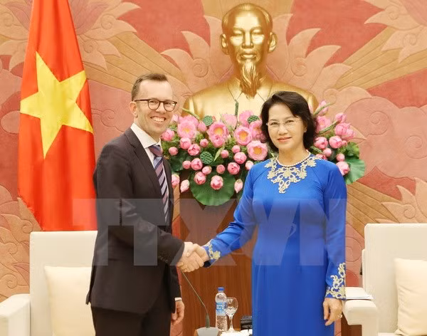 越南国会主席阮氏金银会见新西兰和菲律宾驻越大使 ảnh 1