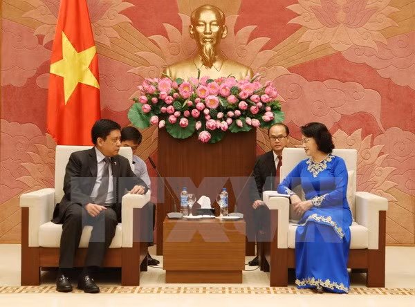 越南国会主席阮氏金银会见新西兰和菲律宾驻越大使 ảnh 2