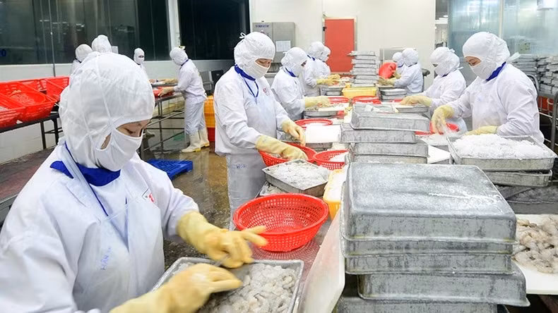 开拓欧洲农产品市场:(二)适应新标准 ảnh 1 开拓欧洲农产品市场:(二)适应新标准 ảnh 1