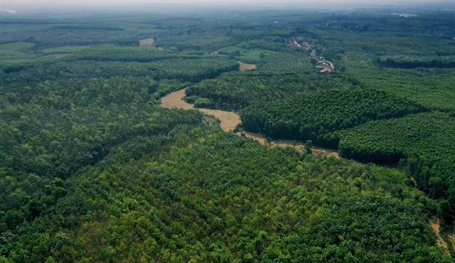 世界野生生物日:为了地球的“健康” ảnh 1 世界野生生物日:为了地球的“健康” ảnh 1