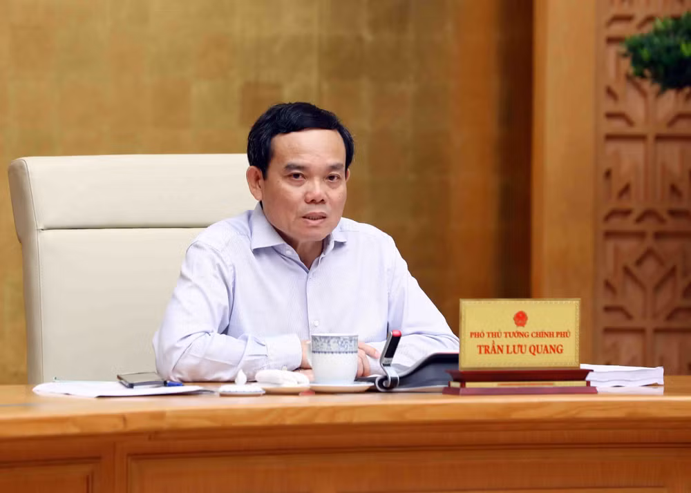 陈流光副总理：多措并举提高三项国家目标计划实施效率 ảnh 2