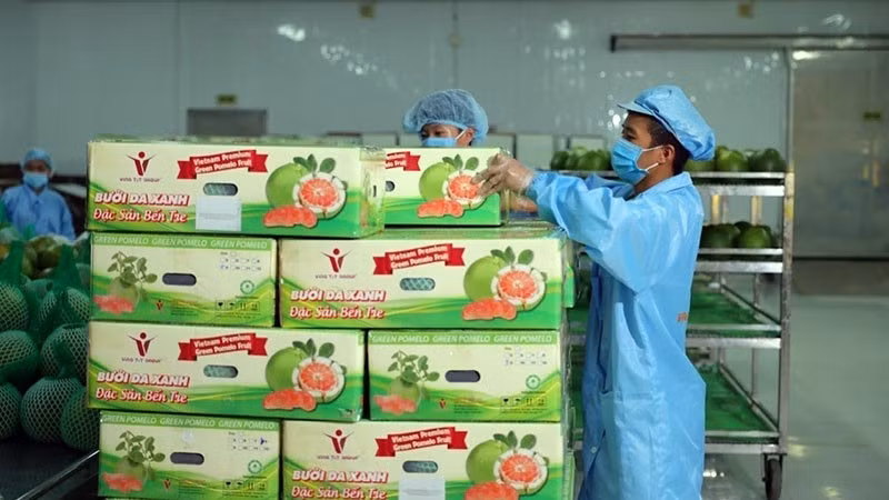 农业保持稳定增长势头 ảnh 1 农业保持稳定增长势头 ảnh 1