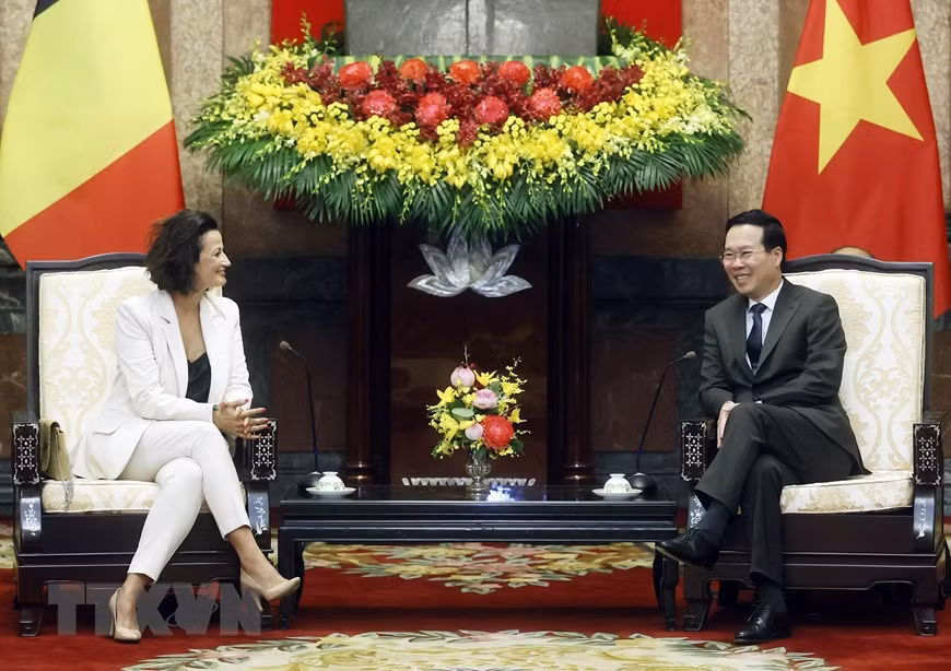 国家主席武文赏会见比利时参议院议长斯蒂芬妮·德霍斯 ảnh 2 国家主席武文赏会见比利时参议院议长斯蒂芬妮·德霍斯 ảnh 2