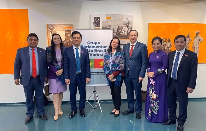 越南国会民族委员会代表团对巴西进行访问 ảnh 1