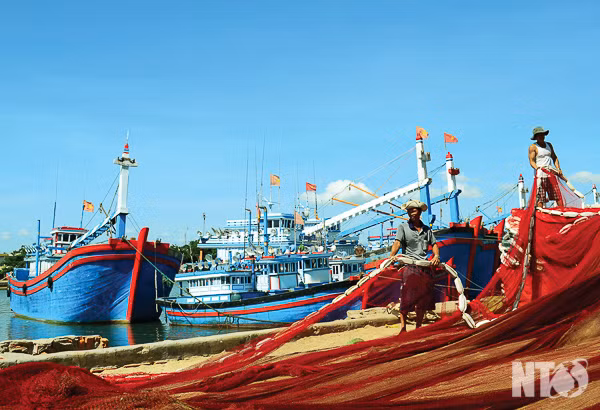 政府的资金扶持协助渔民出海远航 ảnh 1