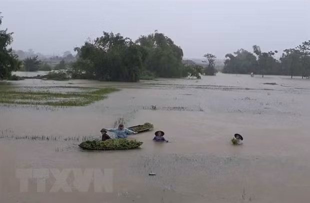 越南北部山区大范围降雨天气将会持续较长时间 ảnh 3