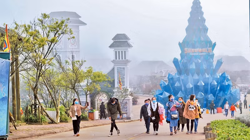旅游业加速数字化转型 ảnh 1