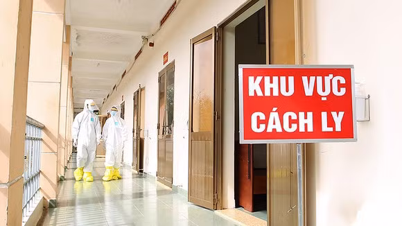 越南新增8例新冠肺炎确诊病例 入境后立即接受隔离 ảnh 1 越南新增8例新冠肺炎确诊病例 入境后立即接受隔离 ảnh 1