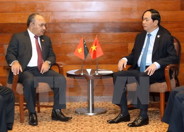 陈大光主席与各国元首和领导人举行双边会晤 ảnh 4 陈大光主席与各国元首和领导人举行双边会晤 ảnh 4