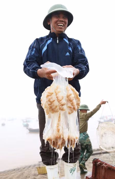 上午探访交海乡鱼市 ảnh 3