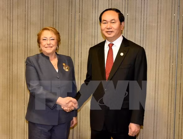 陈大光主席与各国元首和领导人举行双边会晤 ảnh 2 陈大光主席与各国元首和领导人举行双边会晤 ảnh 2