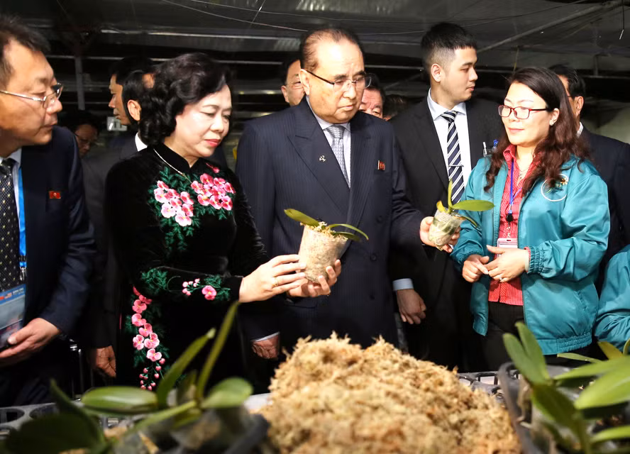 朝鲜劳动党代表团参观丹淮合作社兰花种植模式 ảnh 1 朝鲜劳动党代表团参观丹淮合作社兰花种植模式 ảnh 1