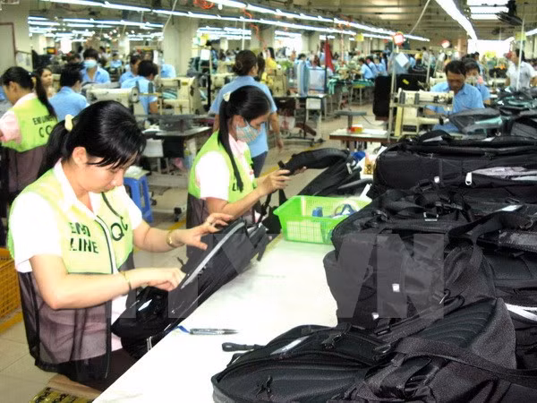 加入CPTPP后越南农产品迎来的机遇和挑战并存 ảnh 1 加入CPTPP后越南农产品迎来的机遇和挑战并存 ảnh 1