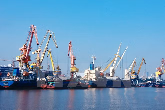 海防港货物吞吐量达近3000万吨 ảnh 1