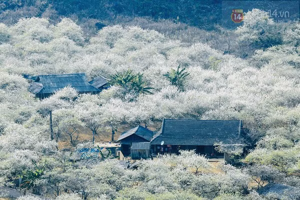 木州一天游 ảnh 3 木州一天游 ảnh 3