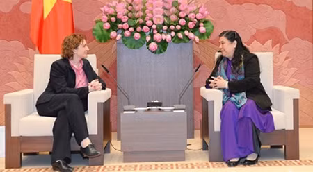 德国自由民主党秘书长:德方支持促进越德合作关系日益向前迈进 ảnh 1 德国自由民主党秘书长:德方支持促进越德合作关系日益向前迈进 ảnh 1