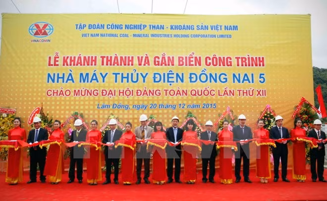 林同省5号同奈水电厂正式落成 ảnh 1 林同省5号同奈水电厂正式落成 ảnh 1